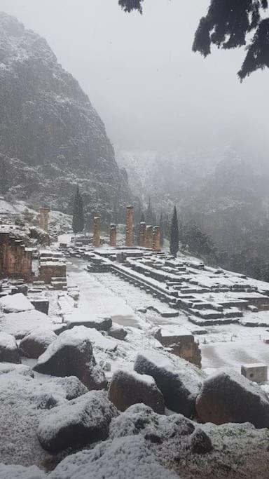 'Ηδιστον,Delphi Apartment Exterior photo